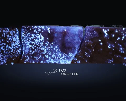 A Low Valuation for One of the Highest-grade Tungsten Deposits