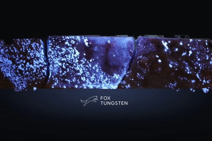 A Low Valuation for One of the Highest-grade Tungsten Deposits