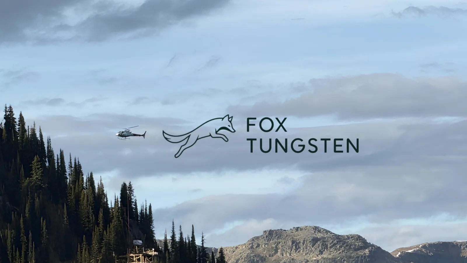 FOXT Is Advancing Across Multiple Fronts!